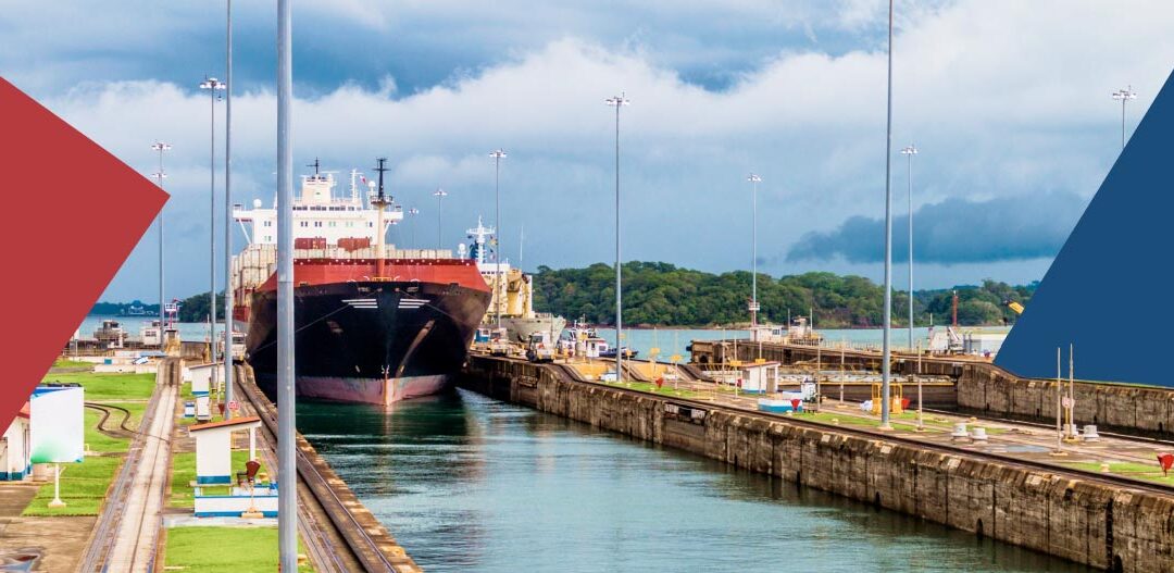 Panama Canal Calls on Ships to Protect Marine Life as Nearby Annual Migration Begins
