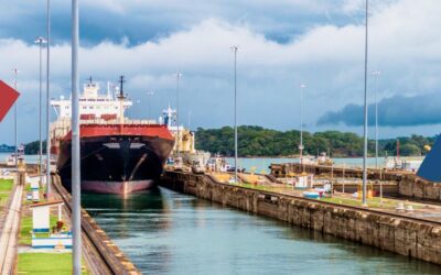 Panama Canal Calls on Ships to Protect Marine Life as Nearby Annual Migration Begins