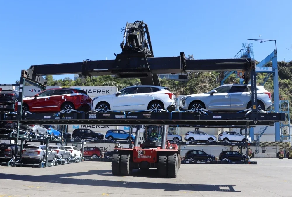 TPS y los detalles de la exitosa descarga de automóviles en contenedores flat rack