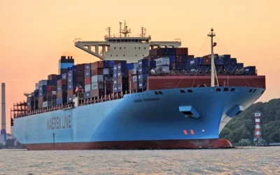 Los gigantes MSC, Maersk, CMA y Cosco «monopolizan» el mar